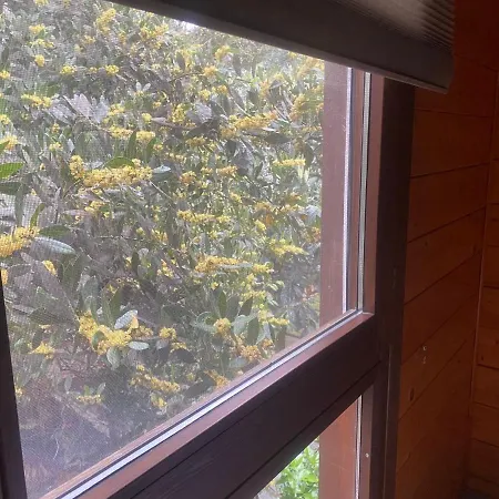 Apartamento El Bosquet *